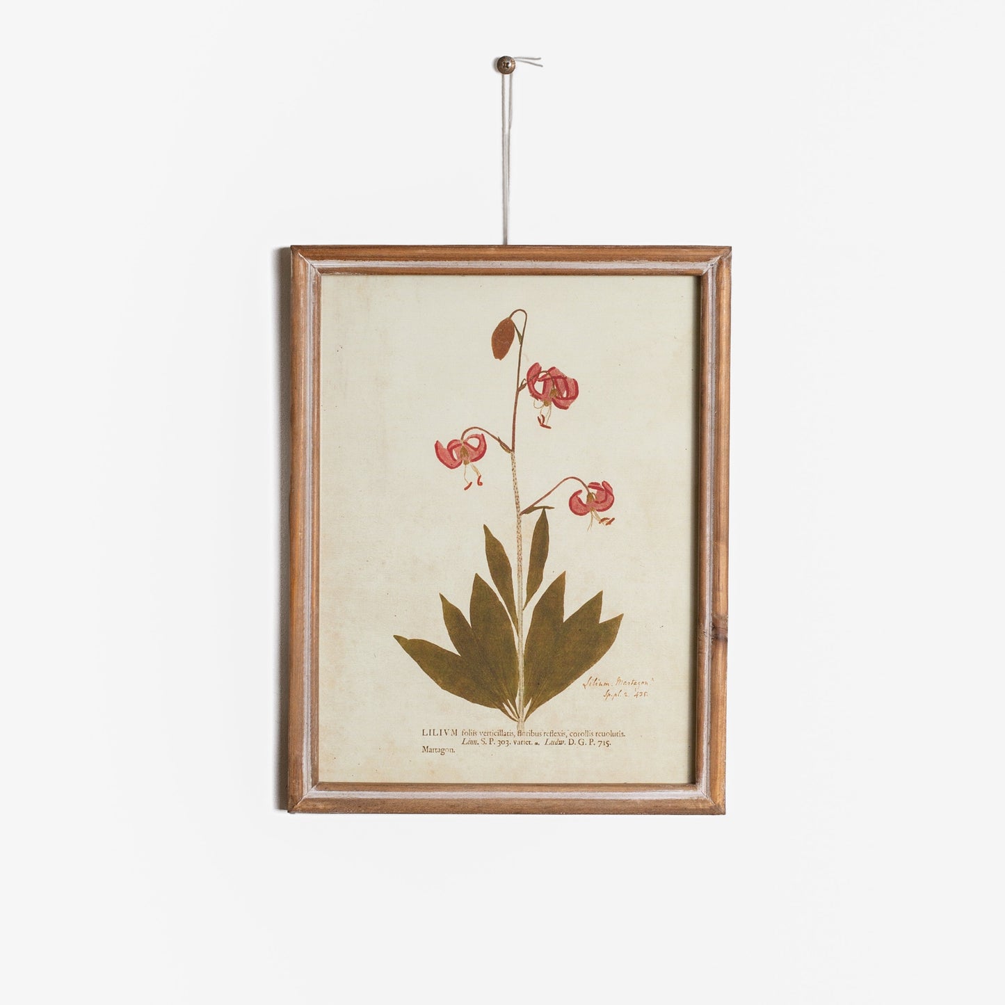 Floral Botanicals