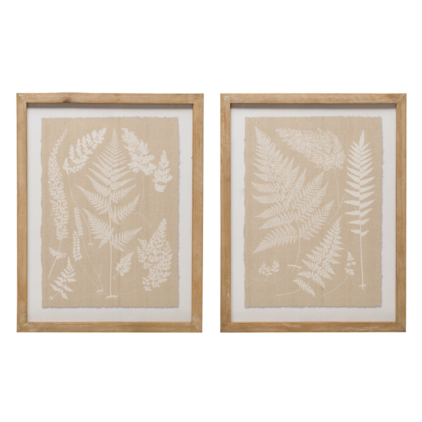 Fern Fronds Framed Wall Art