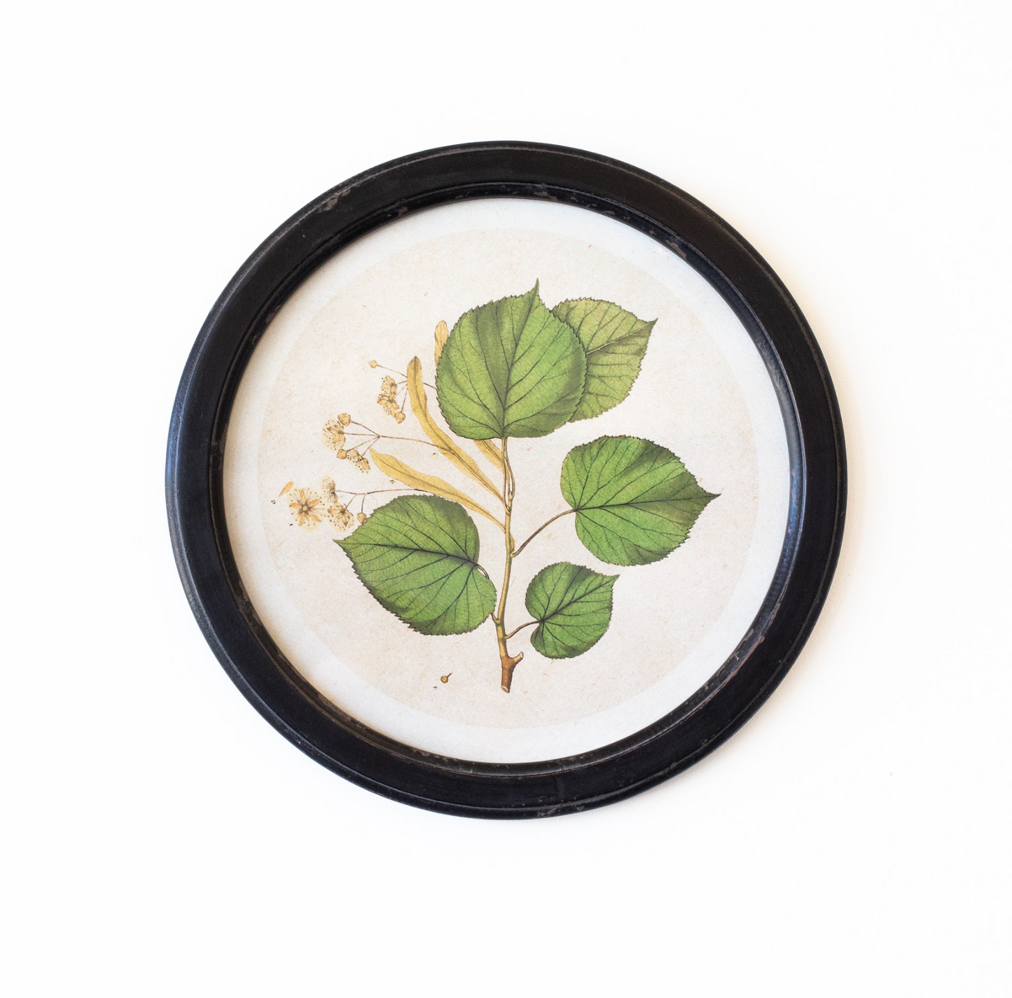 Round Botanical Print
