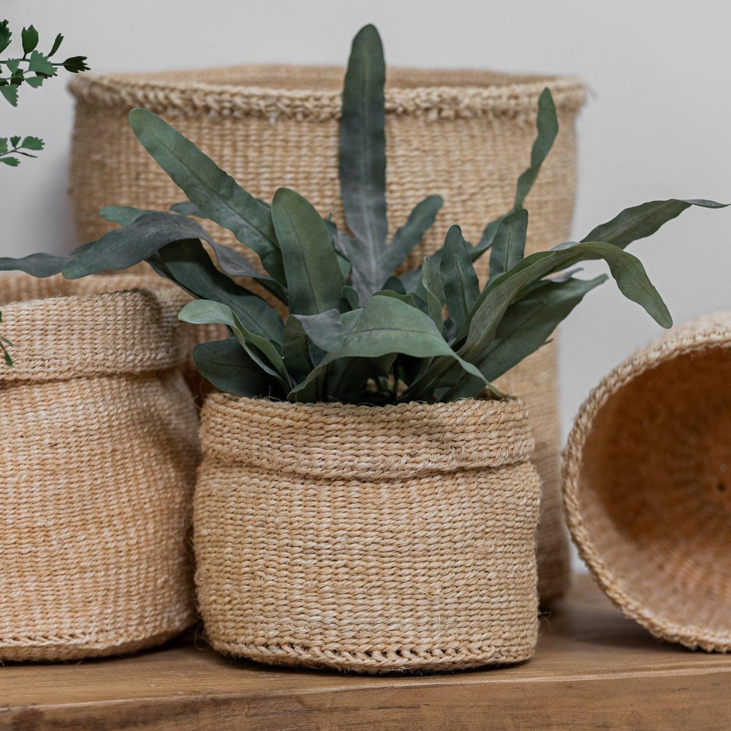 Pure Salt x Tirzah Nelly Basket