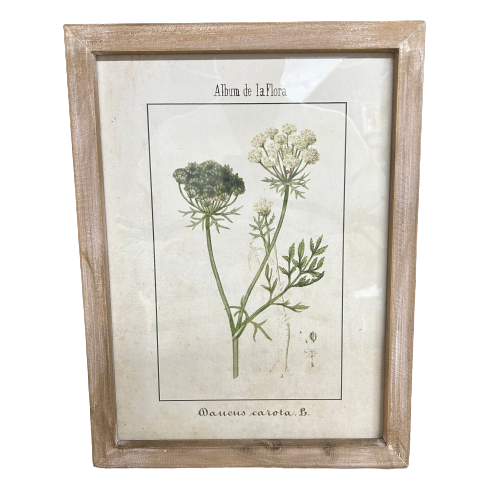 Botanic Flora Prints
