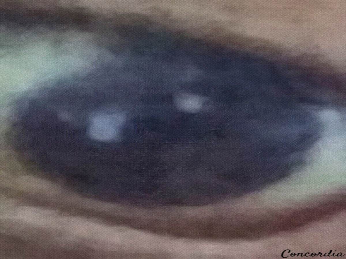 The Eye 1 - Premium artwork from Concordia Style Boutique - Just $19! Shop now at Concordia Style Boutique