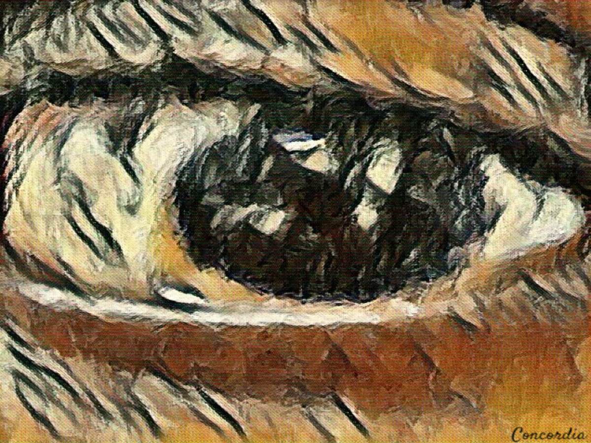 The Eye 4 - Premium artwork from Concordia Style Boutique - Just $19! Shop now at Concordia Style Boutique