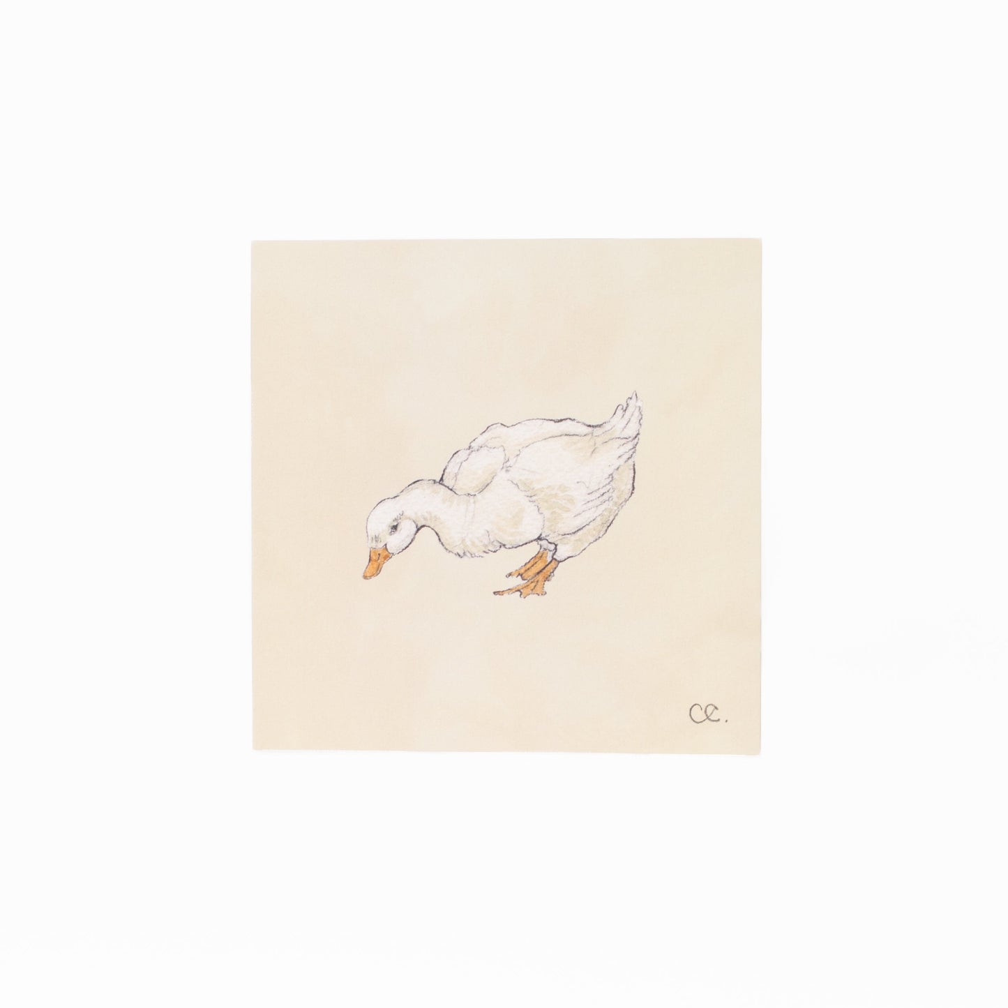 Duck No. 3