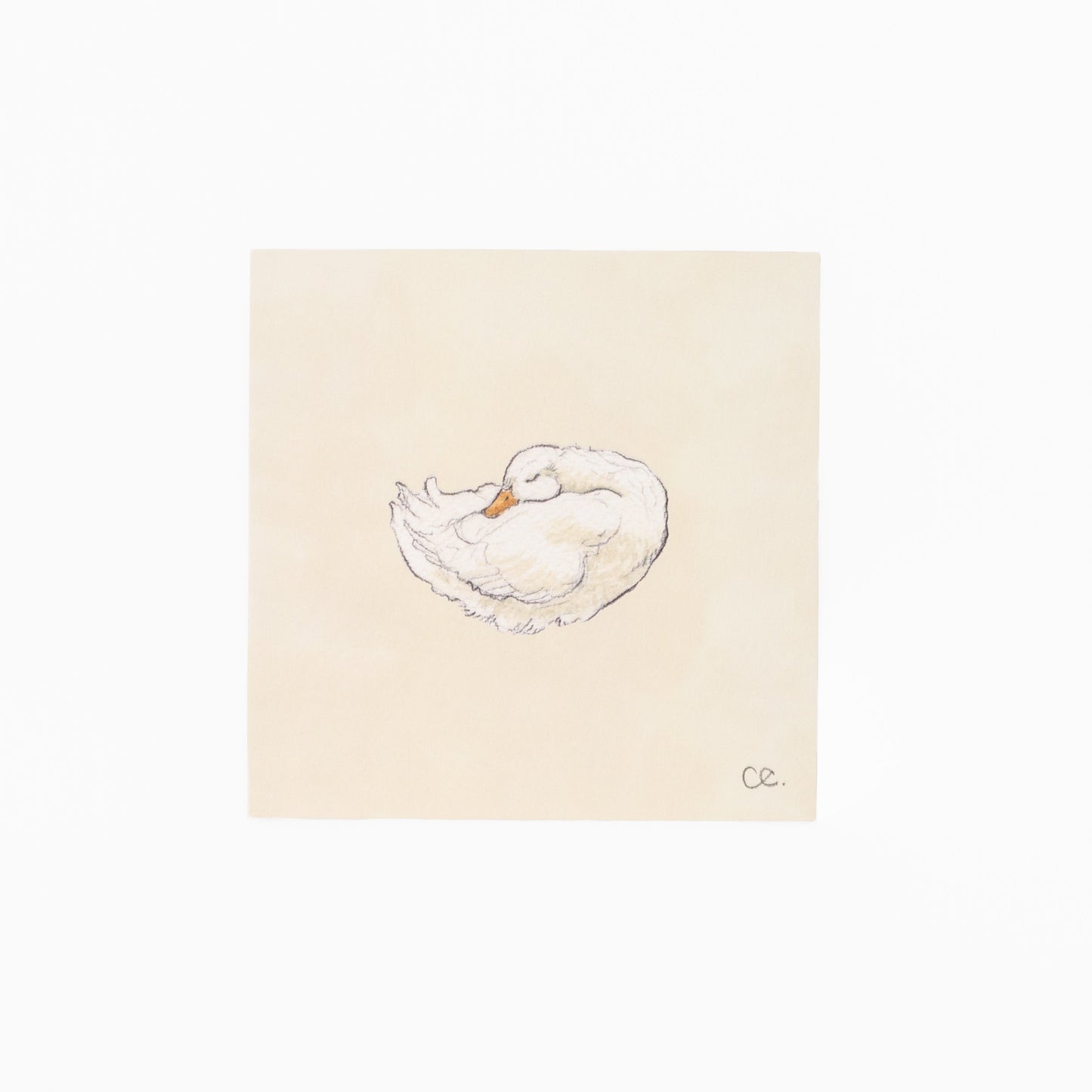 Duck No. 2