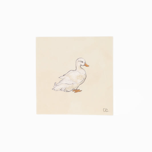 Duck No. 1