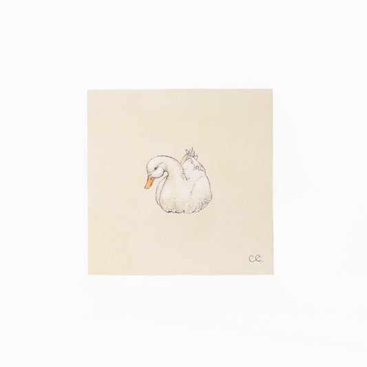 Duck No. 4