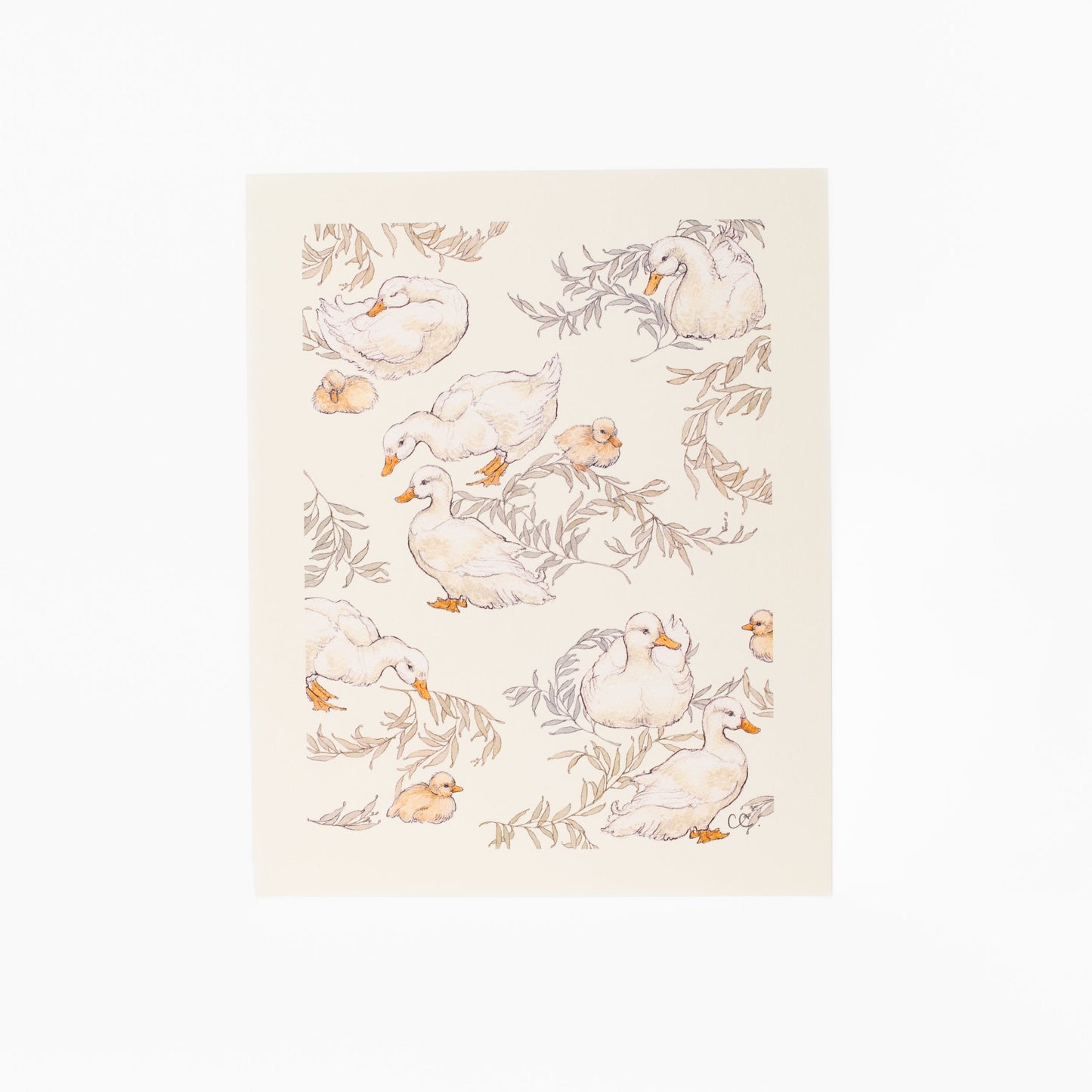 Ducks and Willow