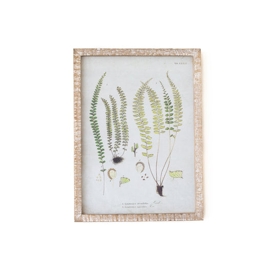 Rhea Botanical Fern Wall Art 6