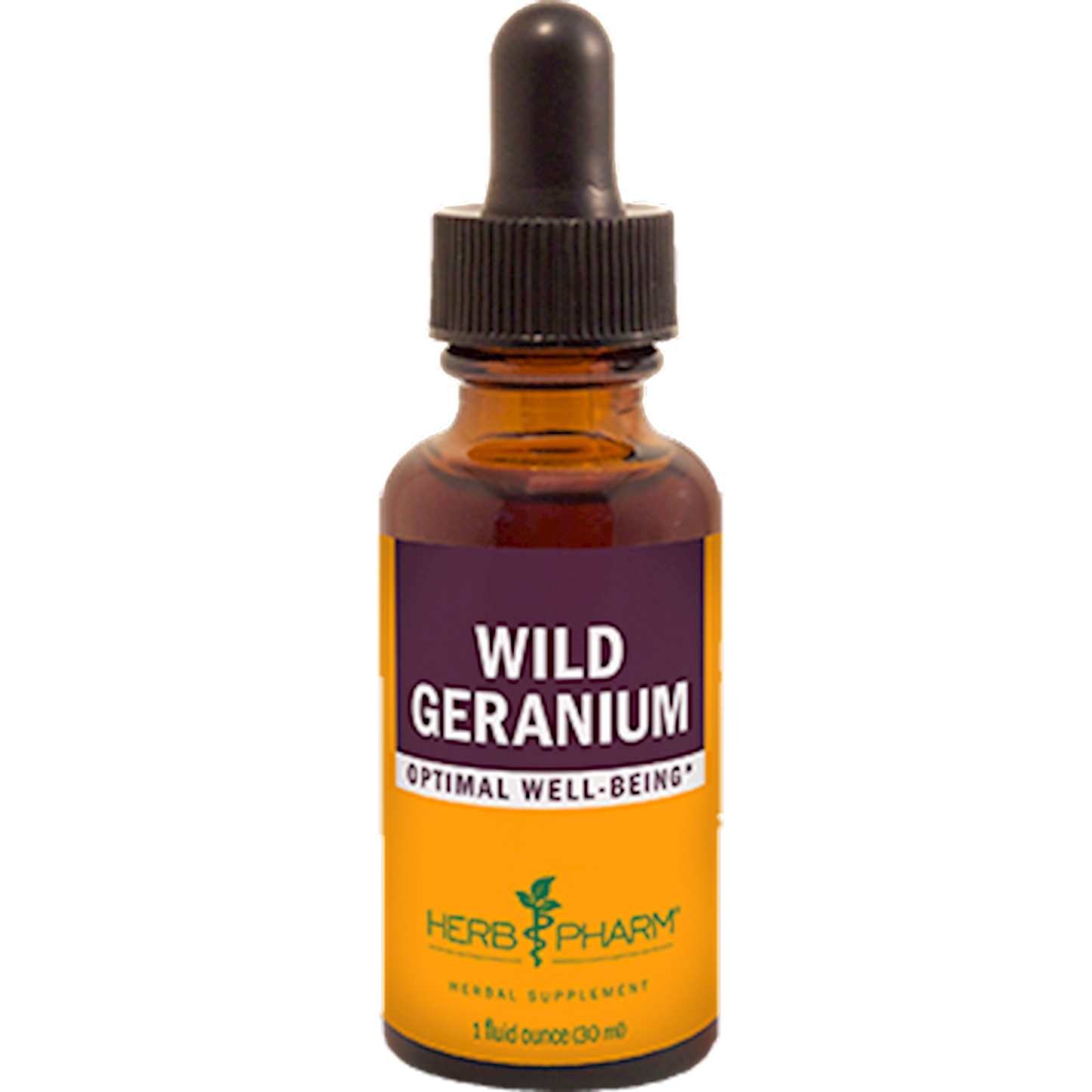 Wild Geranium