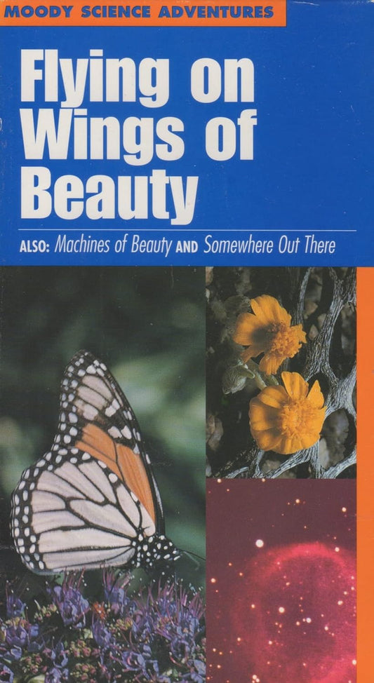 Flying on Wings of Beauty Video