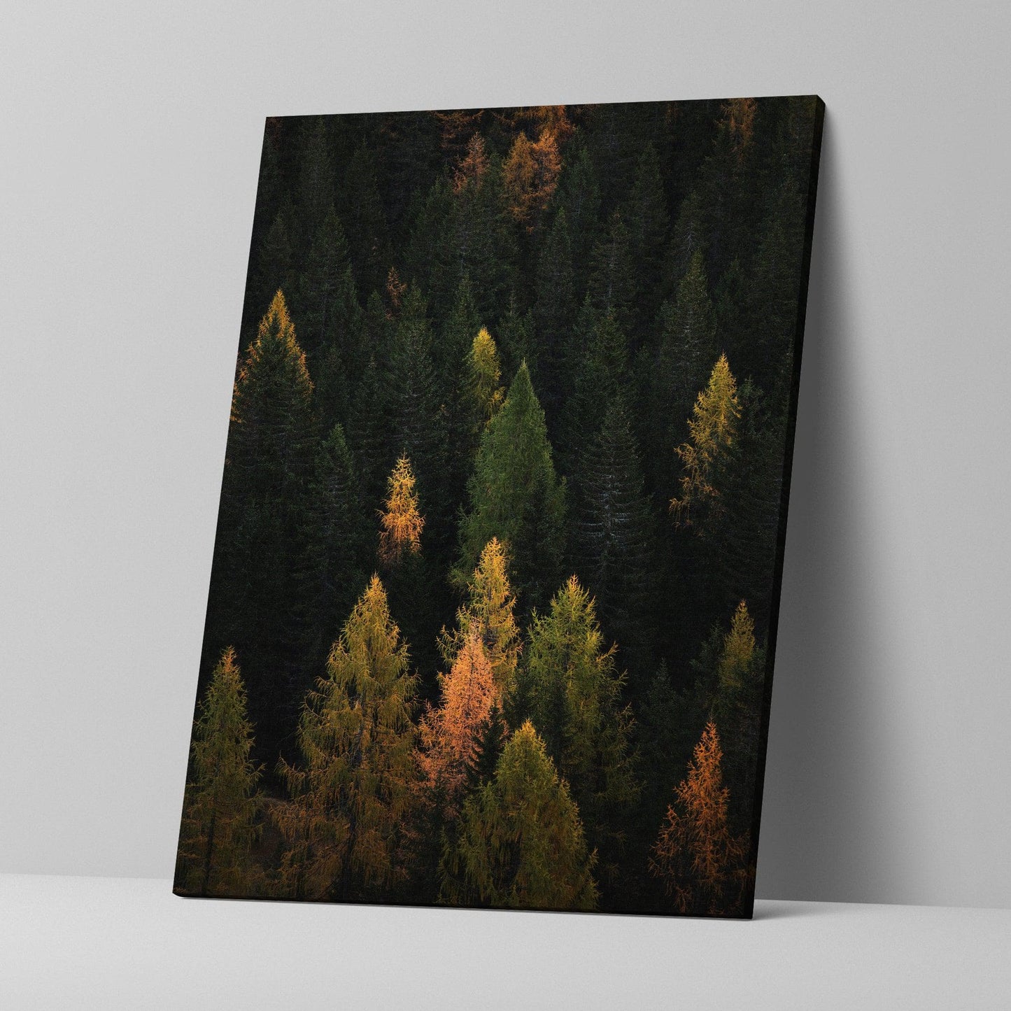 Enchanted Forest Tree Woodland Art Canvas Print #C112