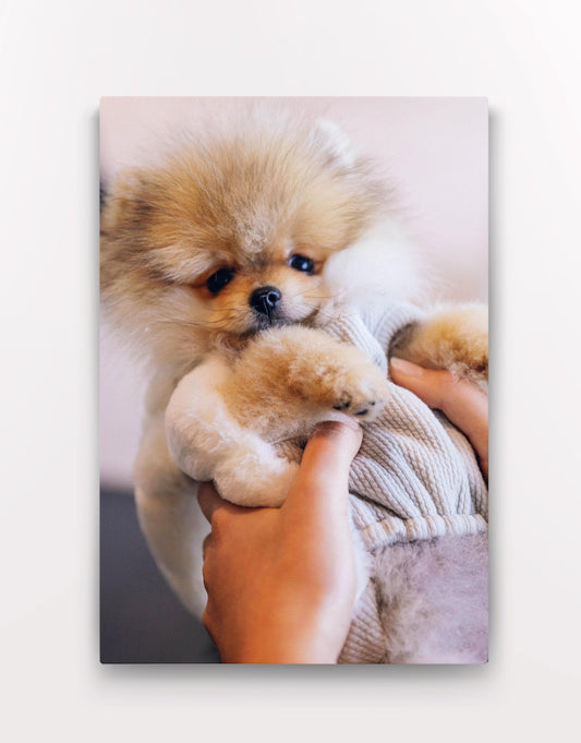 Custom Personalized Stretched Canvas.