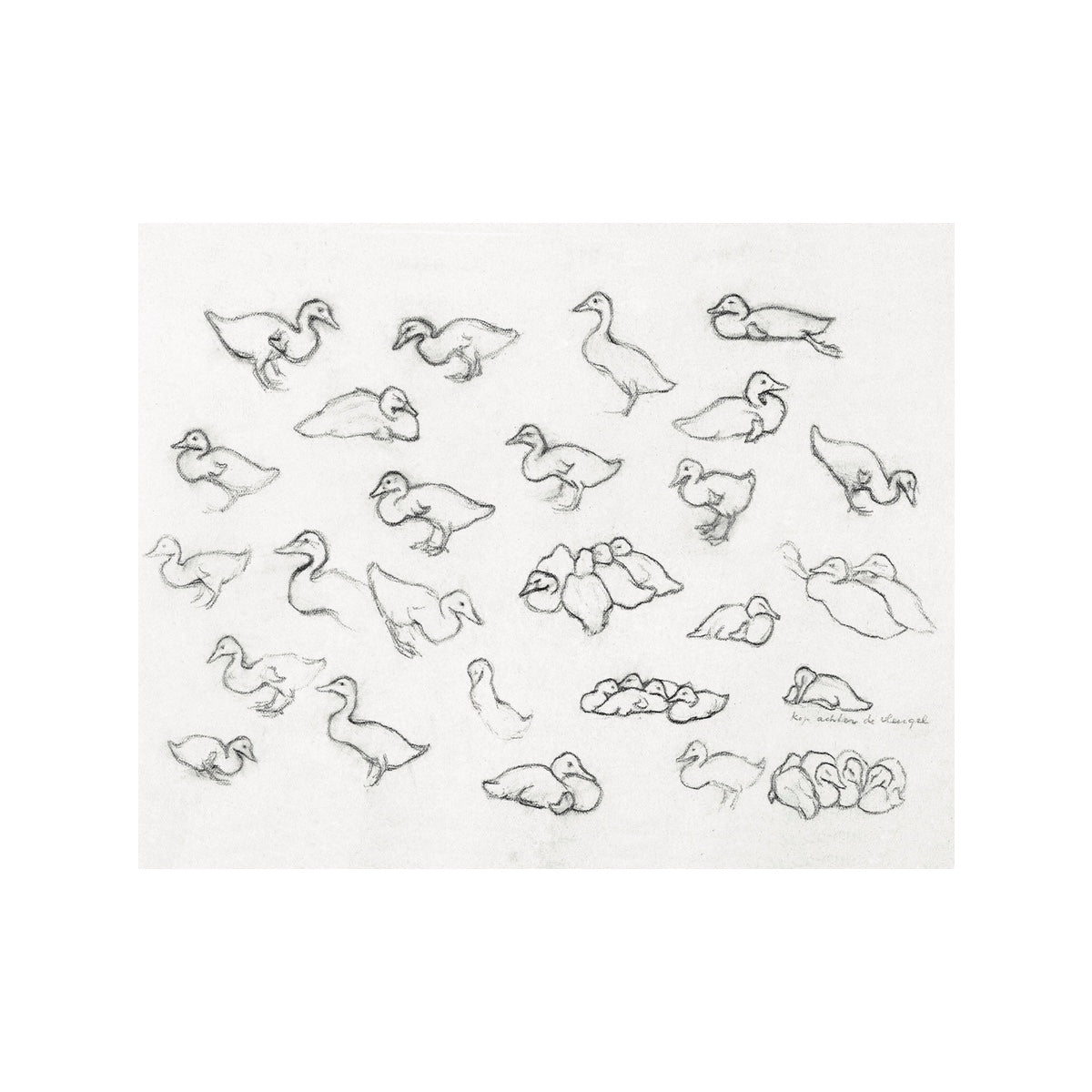 Ducklings - Unframed Art Print