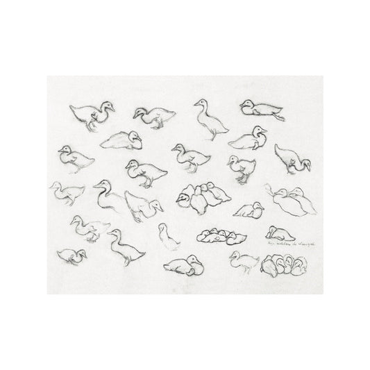 Ducklings - Unframed Art Print
