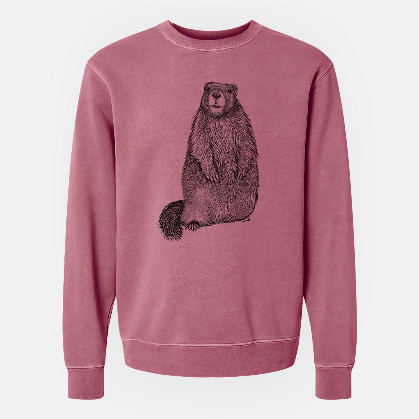 Yellow-bellied Marmot - Marmota flaviventris - Unisex Pigment Dyed Crew Sweatshirt