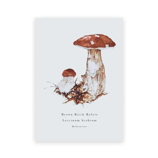 mushroom identification poster cottagecore mushroom frog