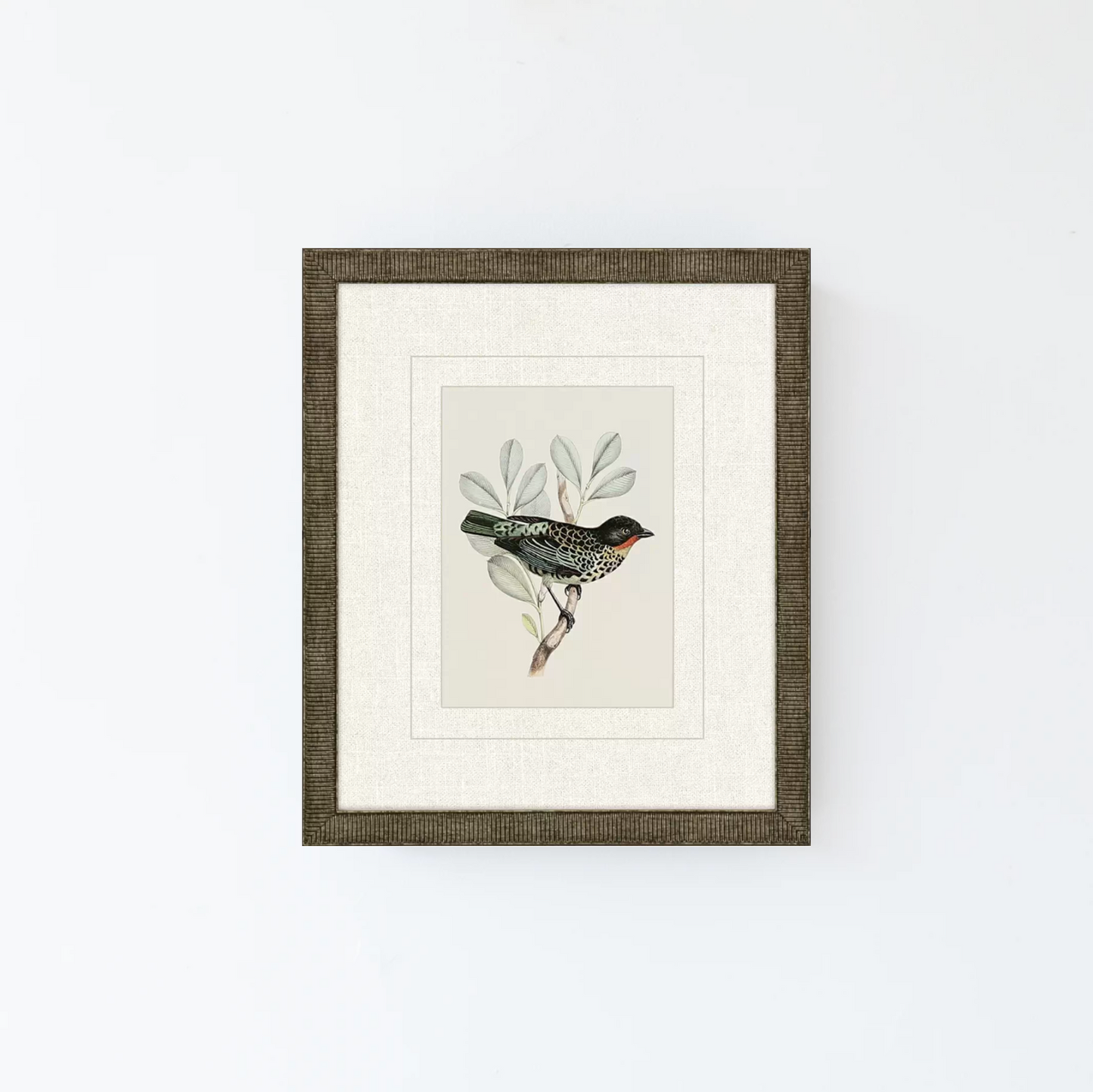 Tanager 2