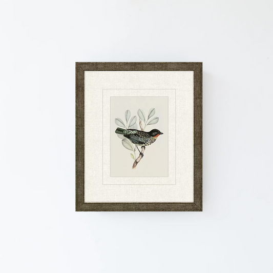 Tanager 2