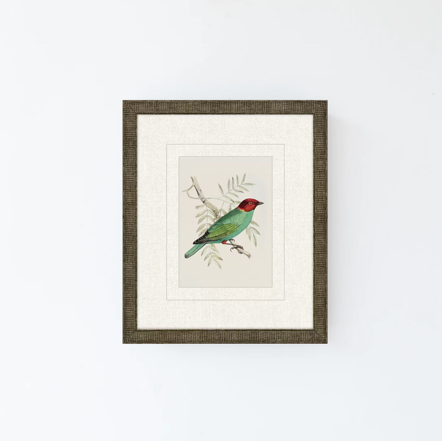 Tanager 1