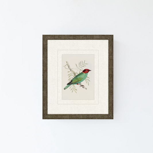 Tanager 1