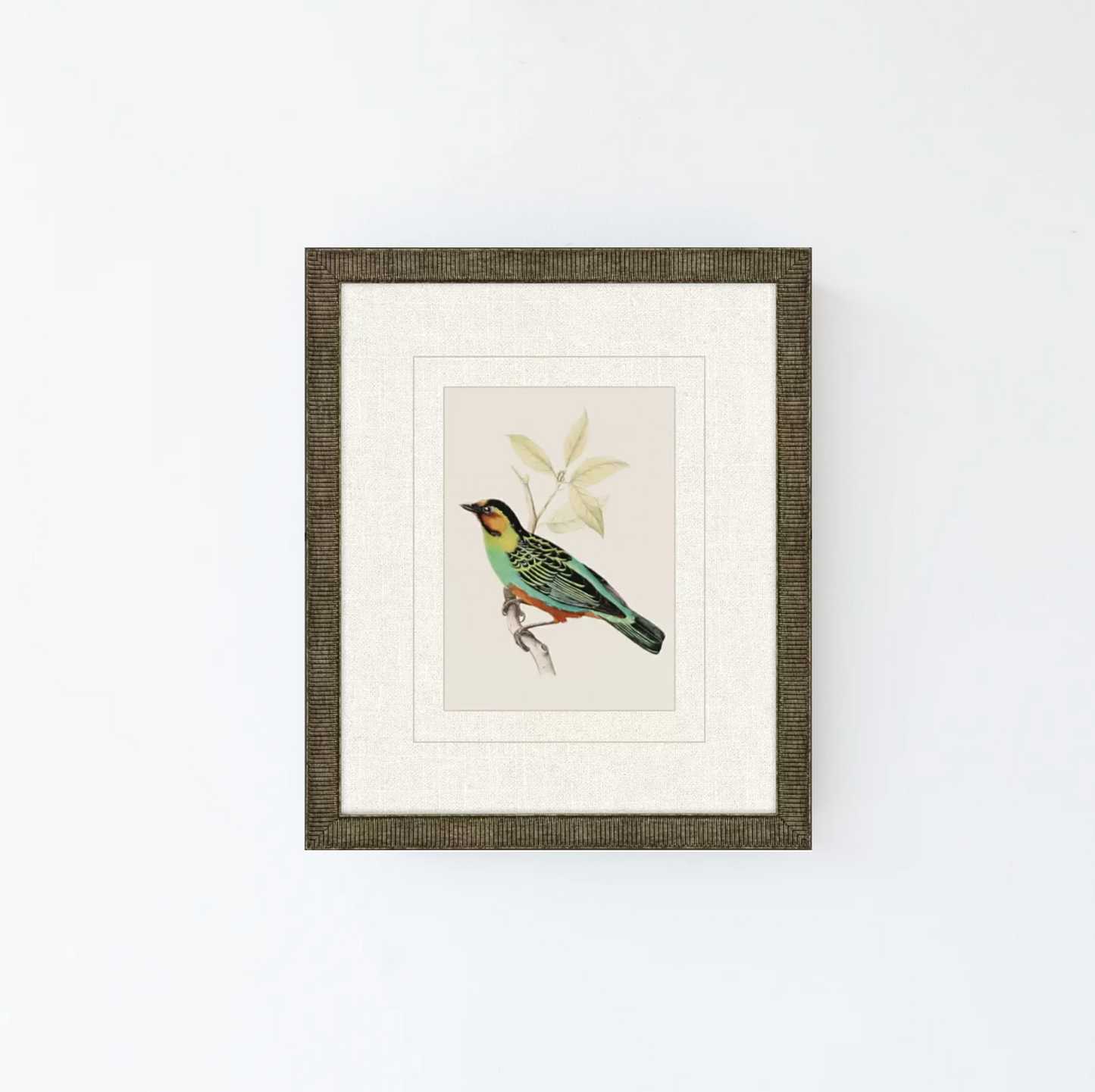 Tanager 3
