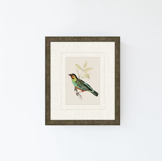 Tanager 3