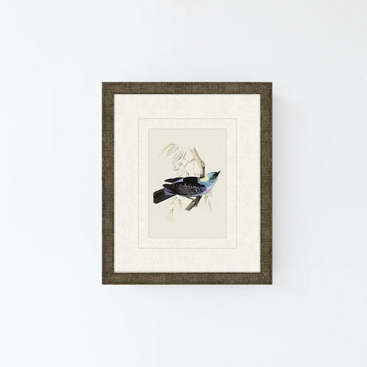 Tanager 4