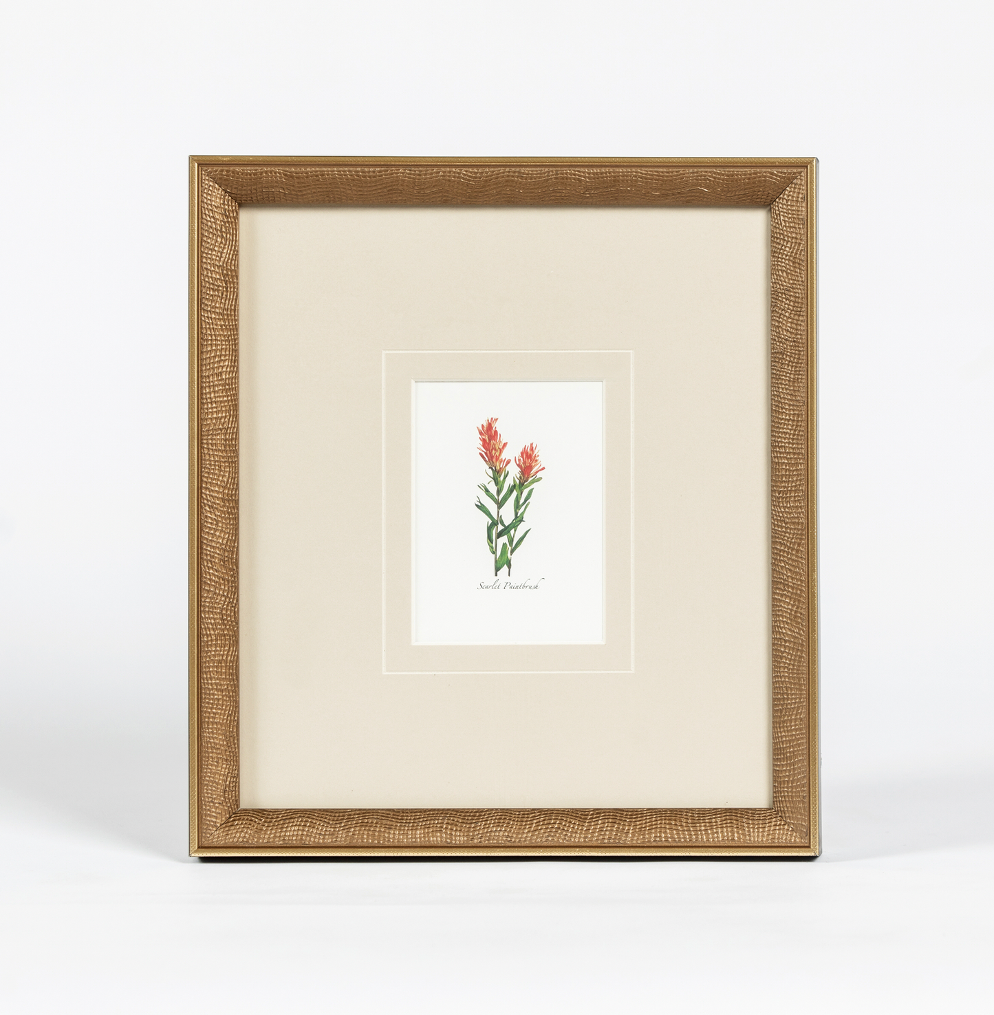 Western Wildflower 3