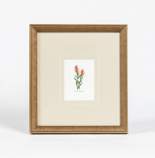 Western Wildflower 3