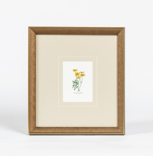 Western Wildflower 2