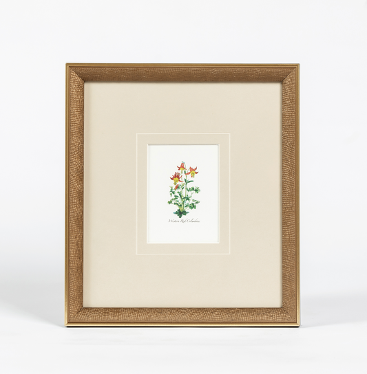 Western Wildflower 4