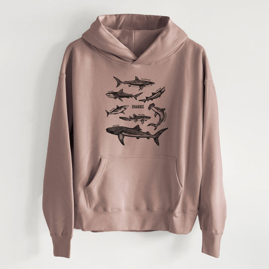 Shark Chart - Women's Heavyweight Relaxed Hoodie