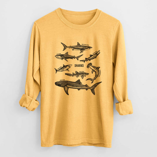 Shark Chart - Heavyweight 100% Cotton Long Sleeve