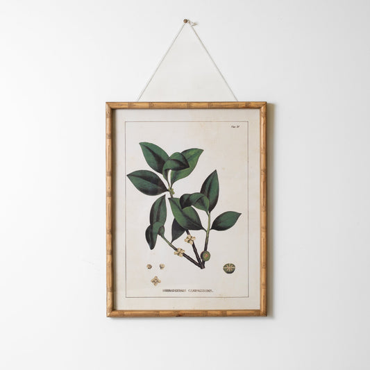 Botanical Wall Art