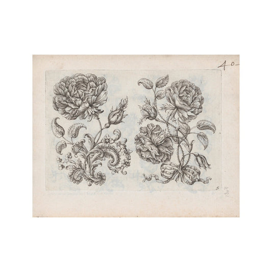 Vintage Rose - Unframed Art Print