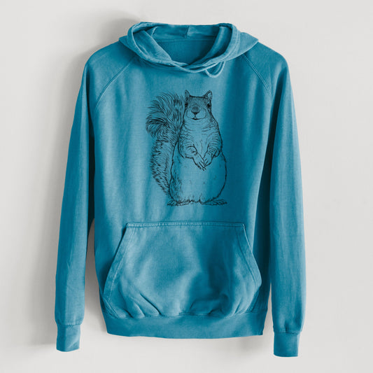 Western Grey Squirrel - Sciurus griseus  - Mid-Weight Unisex Vintage 100% Cotton Hoodie