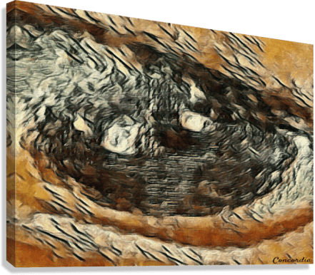 The Eye 2 - Premium artwork from Concordia Style Boutique - Just $19! Shop now at Concordia Style Boutique