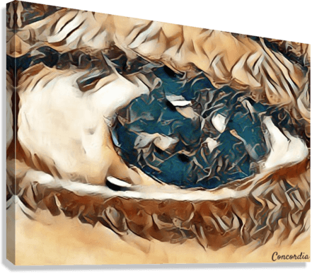 The Eye 5 - Premium artwork from Concordia Style Boutique - Just $19! Shop now at Concordia Style Boutique