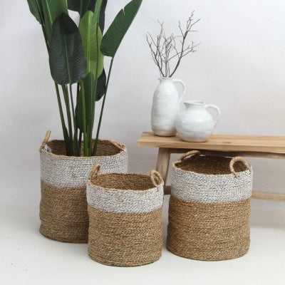 White Top Basket