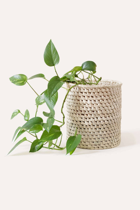 Small Open Weave Palm Leaf Basket