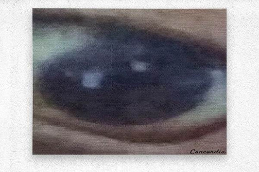 The Eye 1 - Premium artwork from Concordia Style Boutique - Just $19! Shop now at Concordia Style Boutique