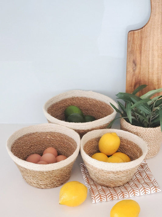Savar Plant Bowl Set