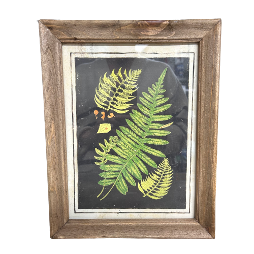 Botanic Fern Prints