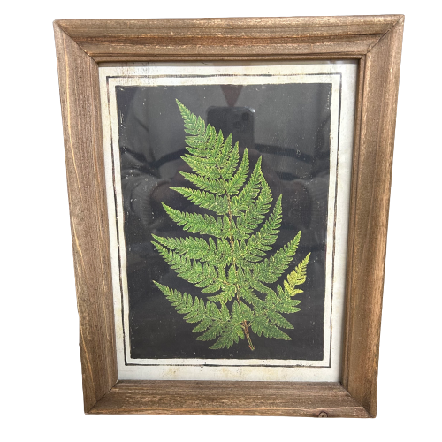 Botanic Fern Prints