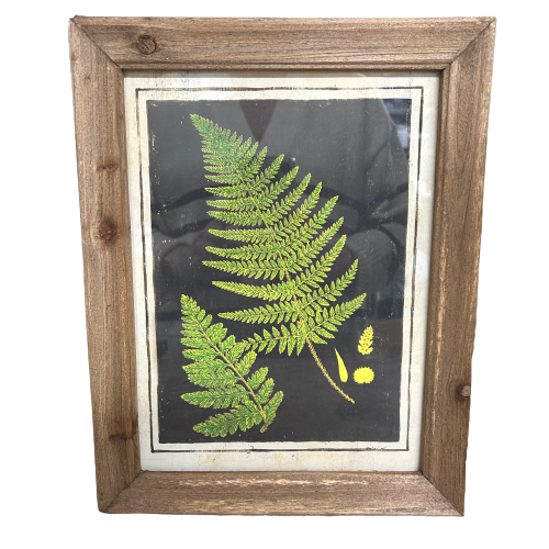 Botanic Fern Prints