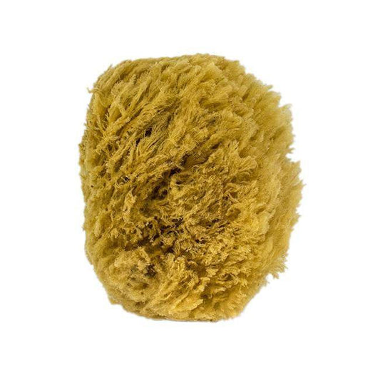 Urban Spa The All-Natural Sea Sponge